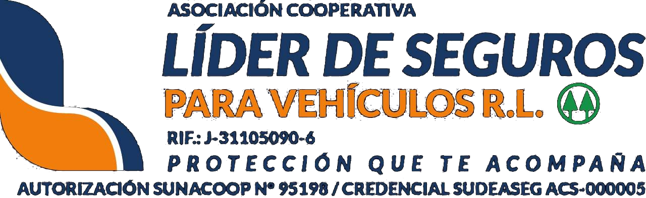 Logo de Líder de Seguros para Vehículos